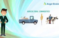 What is Commodity Market | How Does Commodity Market Works | Angel Broking Knowledge Series